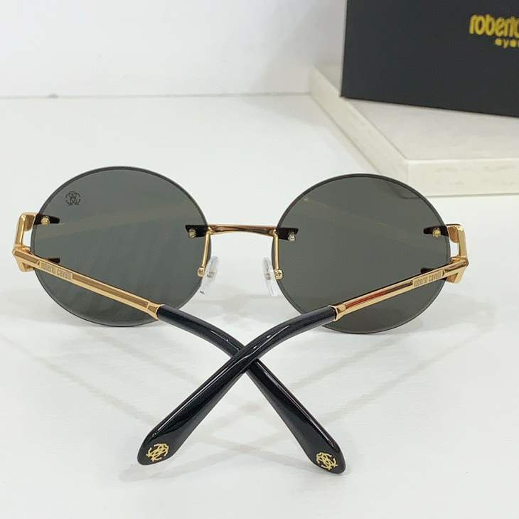 Picture of Roberto Cavalli Sunglasses _SKUfw64811542fw